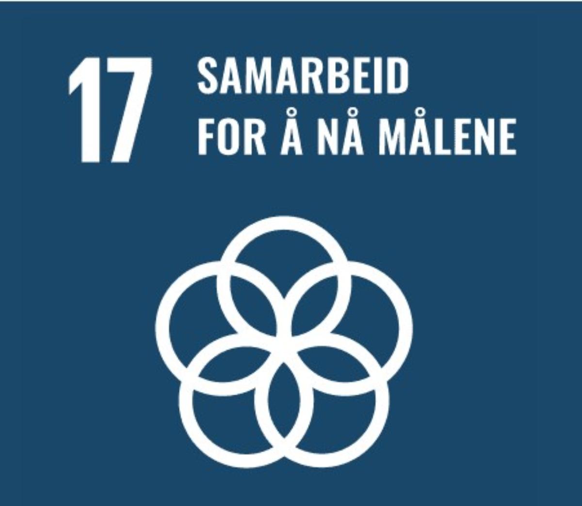 Bærekraftsmål 17.jpg